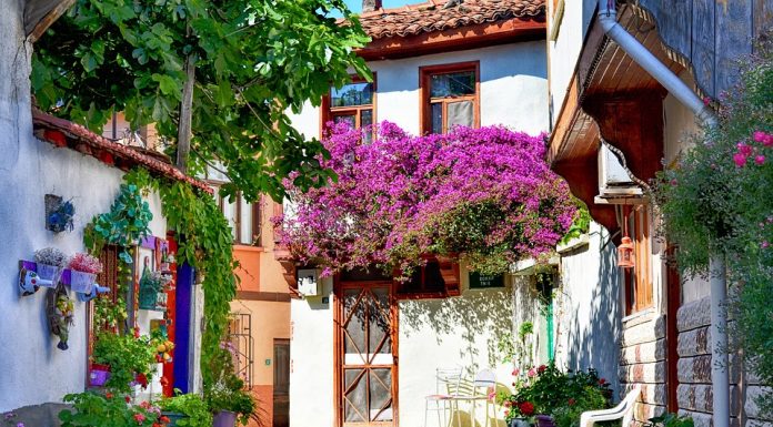 Haftanın Şehri Bursa