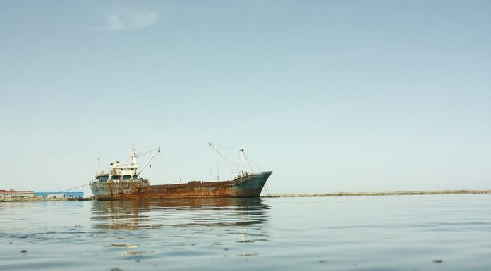 Haftanın Şehri Rize