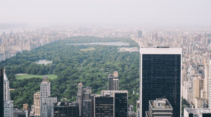 New York’ta Ücretsiz Gezebileceğiniz Yerler