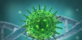 6 Eylül PCR Testi Genelgesi